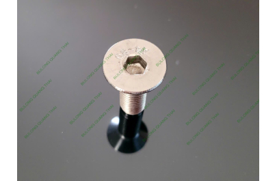 BULONG TIÊU CHUẨN DIN7991